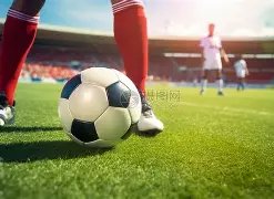 马雷斯卡坚,我们的征程,精准无误,开宝体育官网,APP下载,注册领彩金,官方网站,网站入口