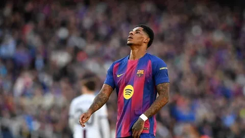 大乐透期号专家推荐：质合分析前区十码对抗森林狼复仇