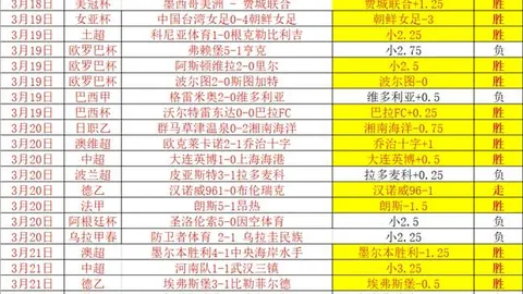 大乐透期号专家推荐：紫金军团客场复仇解析